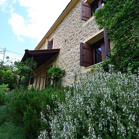 Villa En Arhi Ano Trikala Exterior foto