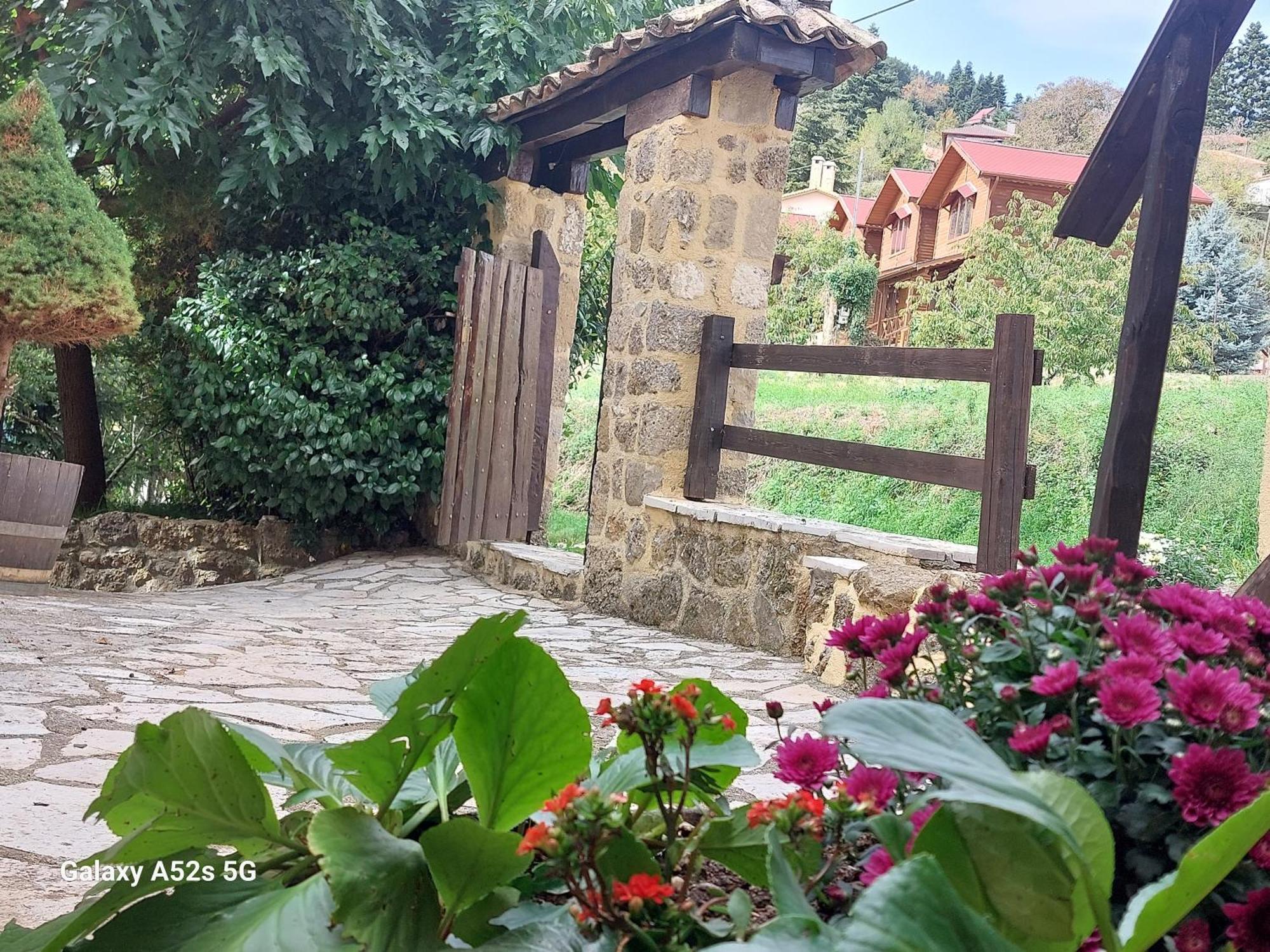 Villa En Arhi Ano Trikala Exterior foto
