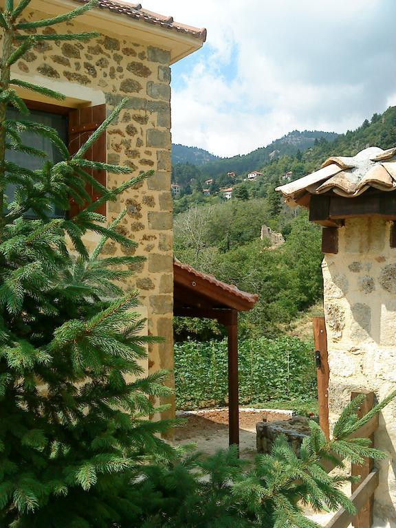 Villa En Arhi Ano Trikala Zimmer foto