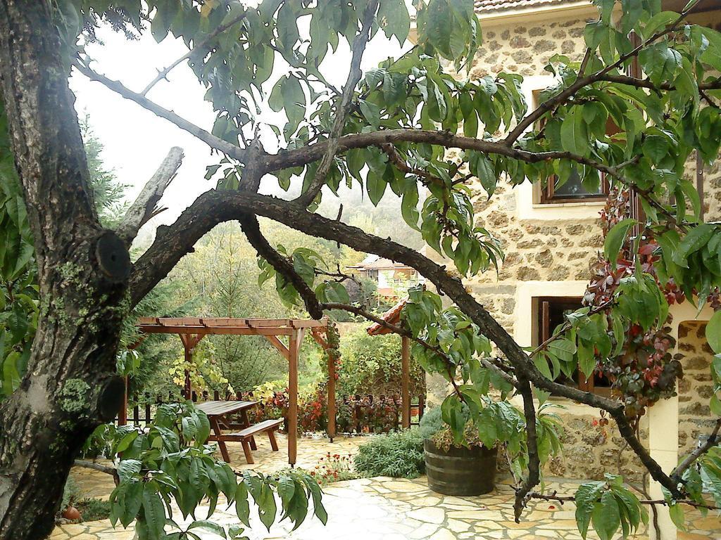Villa En Arhi Ano Trikala Zimmer foto